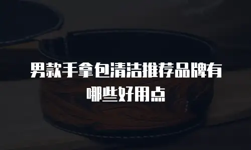 男款手拿包清洁推荐品牌有哪些好用点