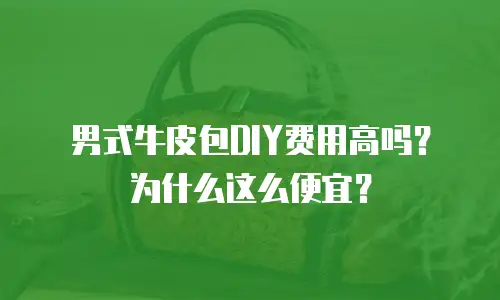 男式牛皮包DIY费用高吗？为什么这么便宜？