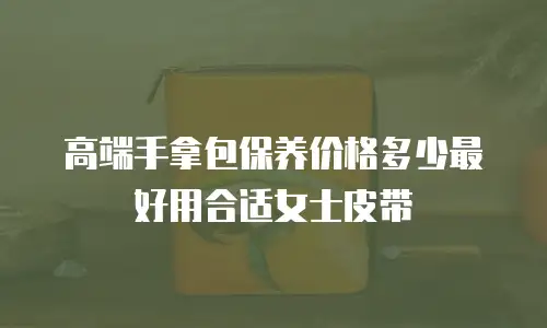 高端手拿包保养价格多少最好用合适女士皮带