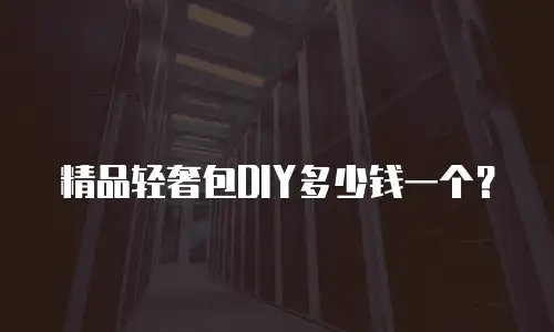 精品轻奢包DIY多少钱一个？