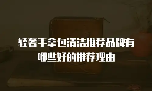 轻奢手拿包清洁推荐品牌有哪些好的推荐理由