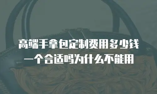 高端手拿包定制费用多少钱一个合适吗为什么不能用