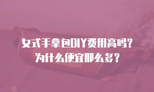 女式手拿包DIY费用高吗？为什么便宜那么多？
