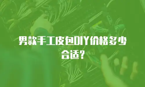 男款手工皮包DIY价格多少合适？