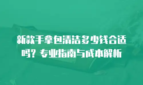 新款手拿包清洁多少钱合适吗？专业指南与成本解析