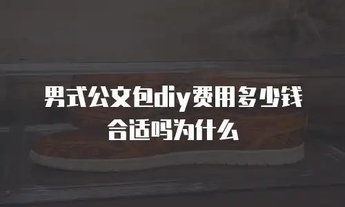 男式公文包diy费用多少钱合适吗为什么