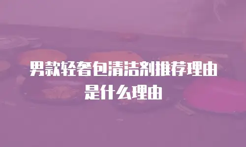 男款轻奢包清洁剂推荐理由是什么理由