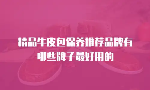精品牛皮包保养推荐品牌有哪些牌子最好用的