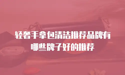 轻奢手拿包清洁推荐品牌有哪些牌子好的推荐