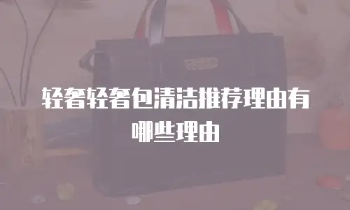 轻奢轻奢包清洁推荐理由有哪些理由