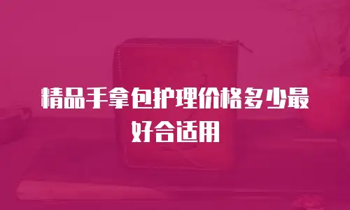 精品手拿包护理价格多少最好合适用
