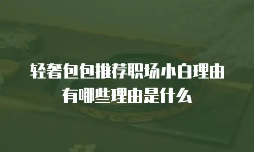轻奢包包推荐职场小白理由有哪些理由是什么