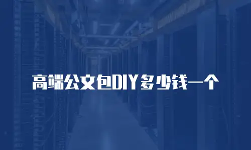 高端公文包DIY多少钱一个