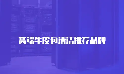 高端牛皮包清洁推荐品牌