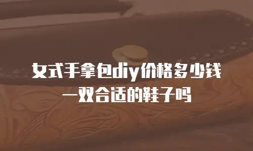 女式手拿包diy价格多少钱一双合适的鞋子吗