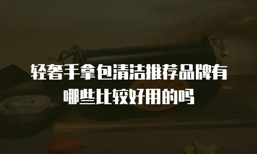 轻奢手拿包清洁推荐品牌有哪些比较好用的吗