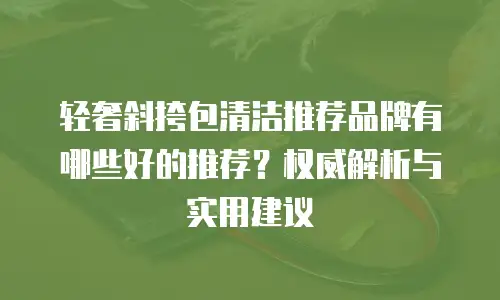 轻奢斜挎包清洁推荐品牌有哪些好的推荐？权威解析与实用建议 