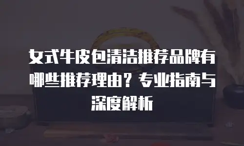 女式牛皮包清洁推荐品牌有哪些推荐理由？专业指南与深度解析