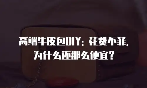 高端牛皮包DIY: 花费不菲，为什么还那么便宜？