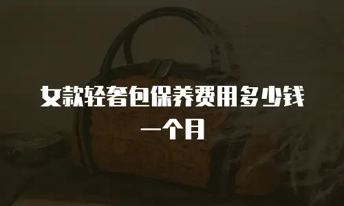 女款轻奢包保养费用多少钱一个月