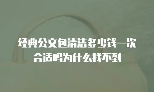 经典公文包清洁多少钱一次合适吗为什么找不到