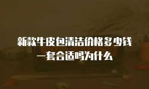 新款牛皮包清洁价格多少钱一套合适吗为什么