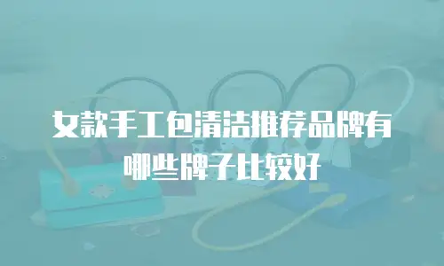 女款手工包清洁推荐品牌有哪些牌子比较好