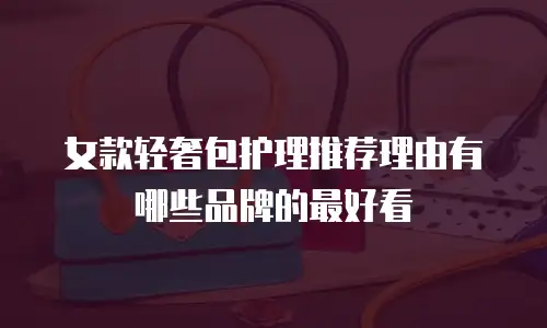 女款轻奢包护理推荐理由有哪些品牌的最好看