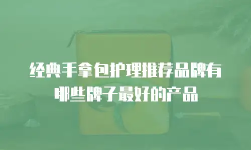 经典手拿包护理推荐品牌有哪些牌子最好的产品