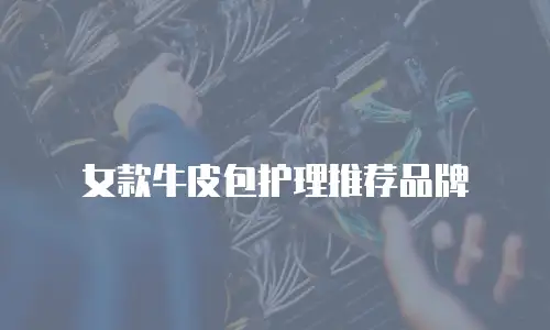 女款牛皮包护理推荐品牌