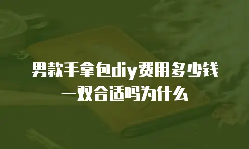 男款手拿包diy费用多少钱一双合适吗为什么