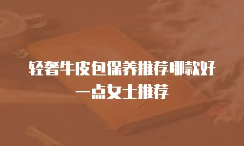轻奢牛皮包保养推荐哪款好一点女士推荐