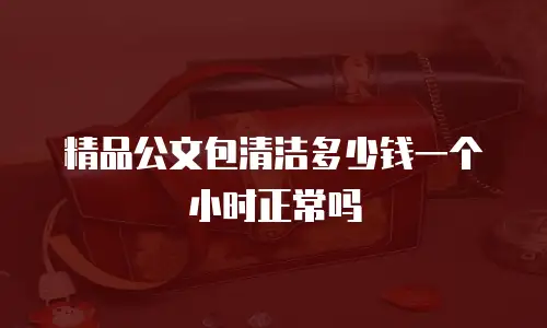 精品公文包清洁多少钱一个小时正常吗