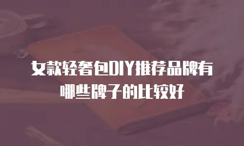 女款轻奢包DIY推荐品牌有哪些牌子的比较好