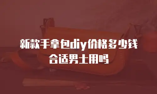 新款手拿包diy价格多少钱合适男士用吗