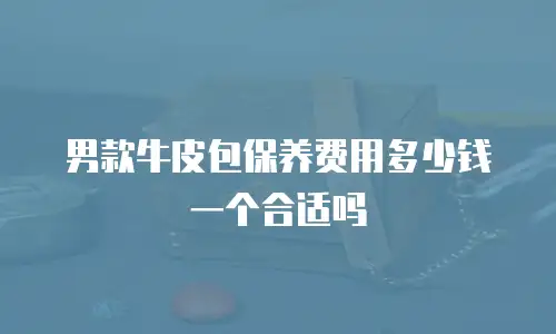 男款牛皮包保养费用多少钱一个合适吗