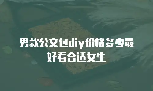 男款公文包diy价格多少最好看合适女生