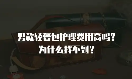 男款轻奢包护理费用高吗？为什么找不到？