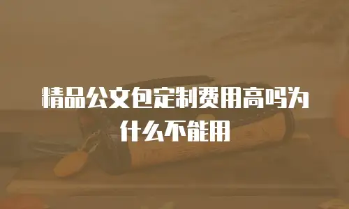 精品公文包定制费用高吗为什么不能用