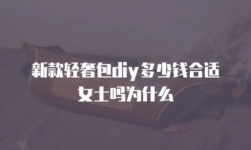 新款轻奢包diy多少钱合适女士吗为什么