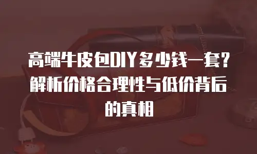 高端牛皮包DIY多少钱一套？解析价格合理性与低价背后的真相