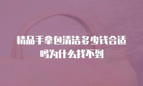 精品手拿包清洁多少钱合适吗为什么找不到