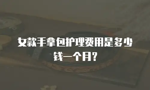 女款手拿包护理费用是多少钱一个月？