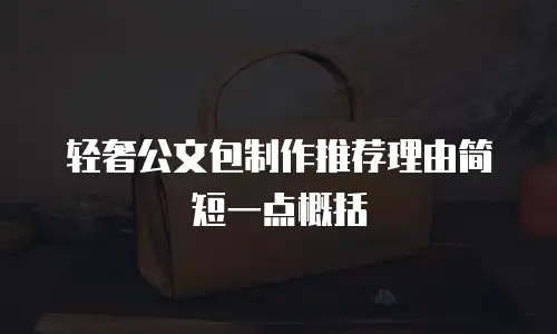 轻奢公文包制作推荐理由简短一点概括