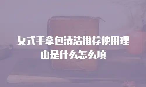 女式手拿包清洁推荐使用理由是什么怎么填