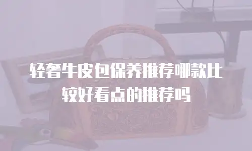 轻奢牛皮包保养推荐哪款比较好看点的推荐吗