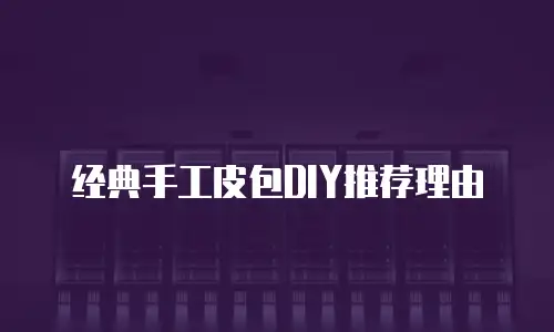 经典手工皮包DIY推荐理由