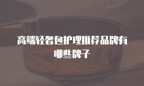 高端轻奢包护理推荐品牌有哪些牌子