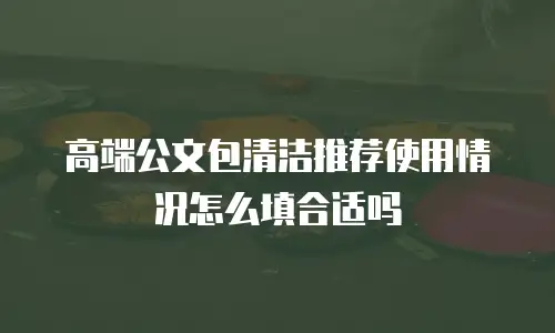 高端公文包清洁推荐使用情况怎么填合适吗
