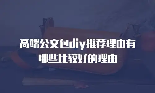 高端公文包diy推荐理由有哪些比较好的理由